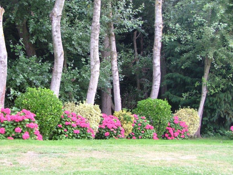 foto 4 Affitto tra privati Wissant gite Nord Passo di Calais (Nord-Pas de Calais) Pas de Calais Giardino