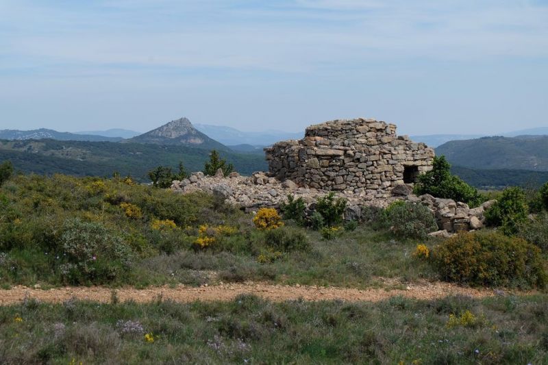 foto 24 Affitto tra privati Pzenas villa Linguadoca-Rossiglione Hrault Vista nelle vicinanze