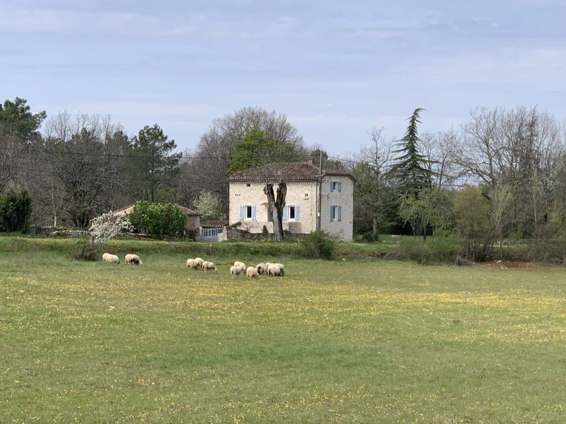 foto 1 Affitto tra privati Cahors maison Midi Pirenei (Midi-Pyrnes) Lot