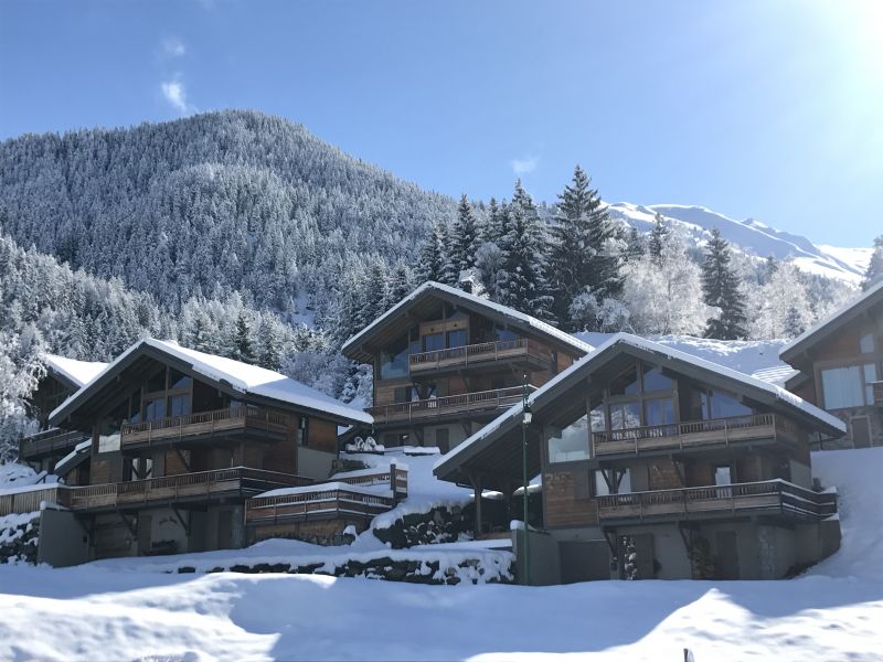 foto 0 Affitto tra privati Valfrjus chalet Rodano Alpi Savoia