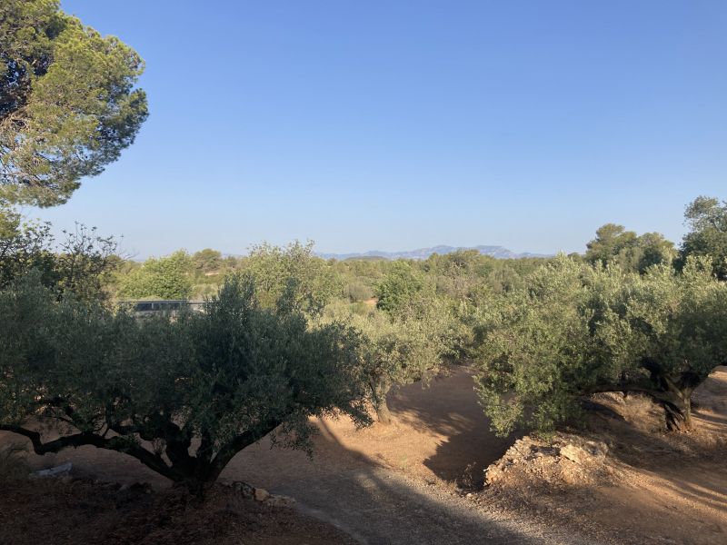 foto 10 Affitto tra privati L'ampolla maison Catalogna Tarragona (provincia di) Vista dalla casa vacanze