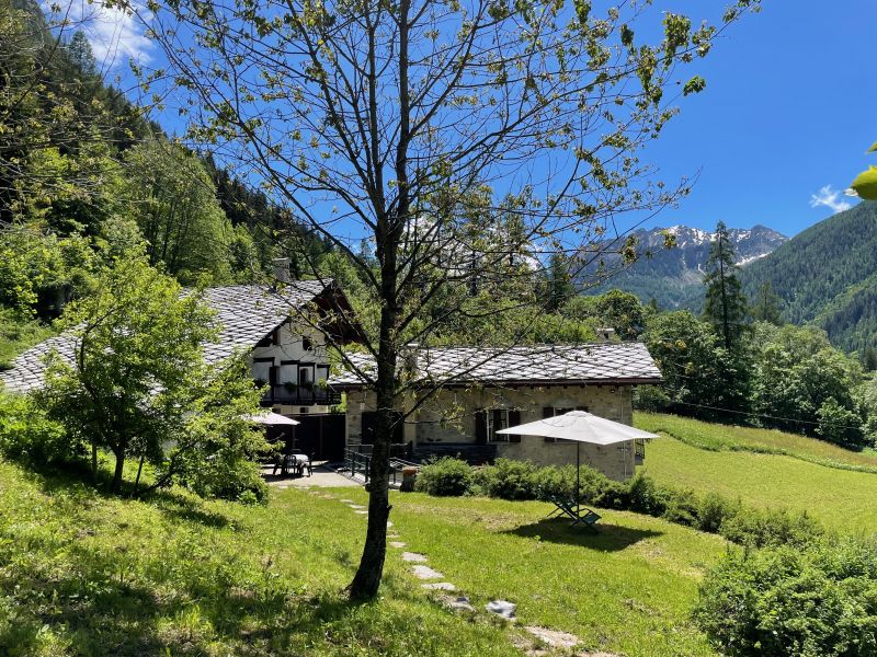 foto 0 Affitto tra privati Gressoney Saint Jean appartement Valle d'Aosta Aosta (provincia di) Giardino