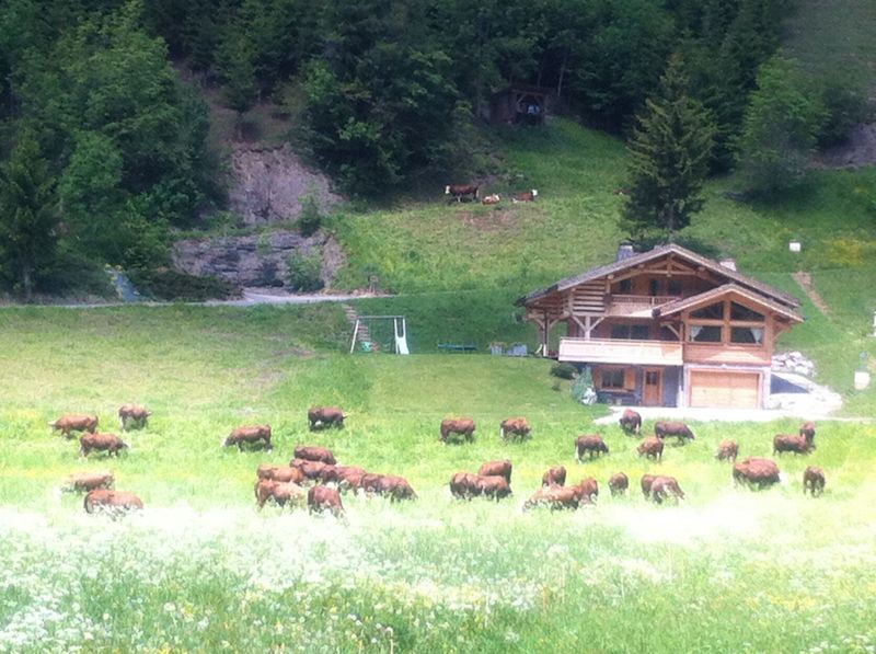 foto 13 Affitto tra privati Le Grand Bornand chalet Rodano Alpi Alta Savoia Vista dalla casa vacanze