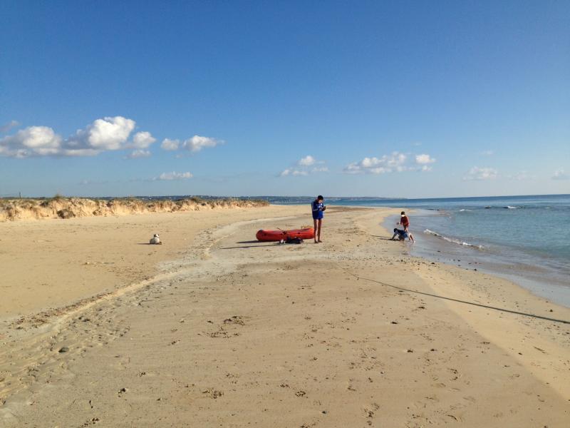 foto 10 Affitto tra privati Pescoluse villa Puglia Lecce (provincia di) Altra vista