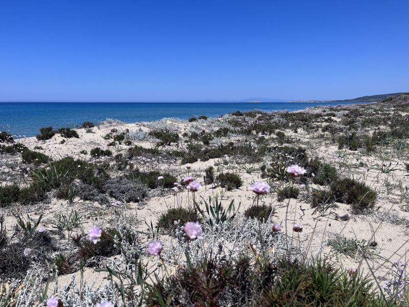 foto 19 Affitto tra privati Badesi maison Sardegna Olbia Tempio (provincia di) Spiaggia