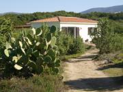 Affitto case vacanza Olbia Tempio (Provincia Di) per 5 persone: maison n. 73670