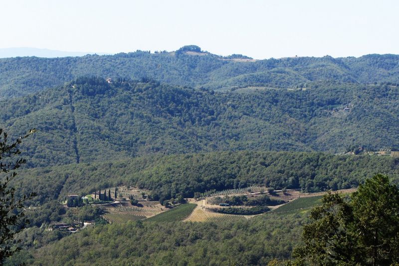 foto 24 Affitto tra privati Siena villa Toscana Siena (provincia di) Vista dalla casa vacanze