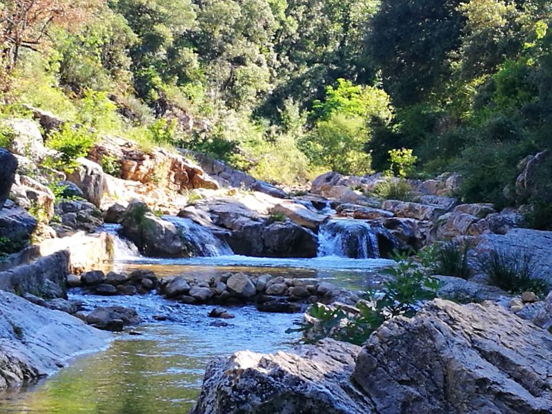 foto 0 Affitto tra privati Lorgues gite Provenza Alpi Costa Azzurra Var