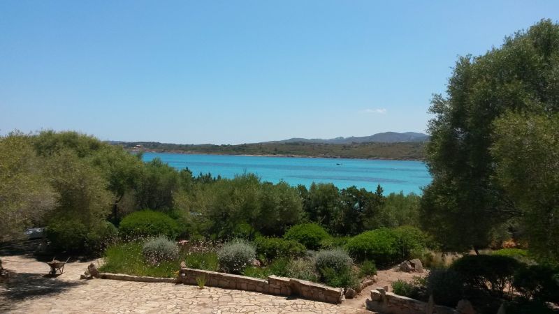 foto 10 Affitto tra privati Murta Maria appartement Sardegna Olbia Tempio (provincia di) Vista dal terrazzo