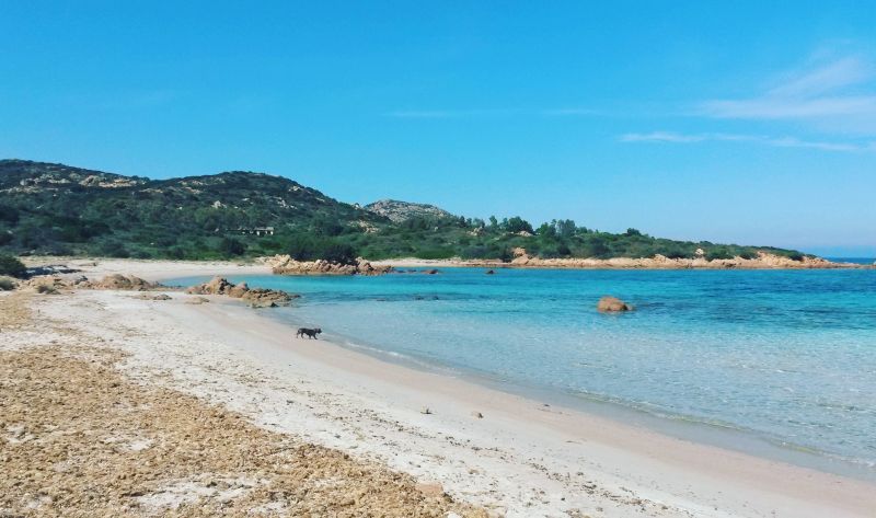 foto 12 Affitto tra privati Murta Maria appartement Sardegna Olbia Tempio (provincia di) Spiaggia