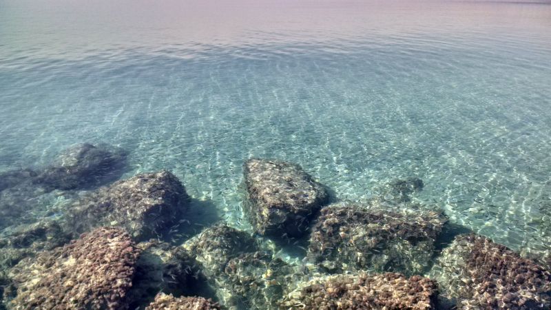 foto 18 Affitto tra privati Torre Vado villa Puglia Lecce (provincia di) Spiaggia