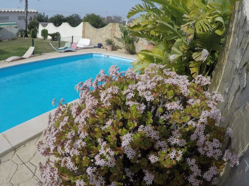 foto 3 Affitto tra privati Albufeira villa Algarve  Vista dal terrazzo