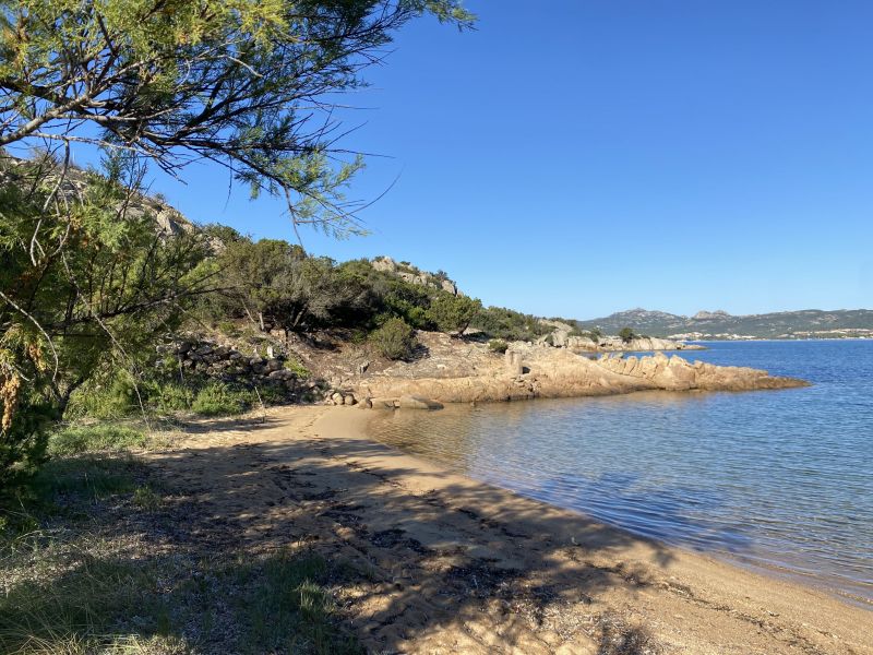 foto 3 Affitto tra privati Baja Sardinia appartement Sardegna Olbia Tempio (provincia di) Spiaggia