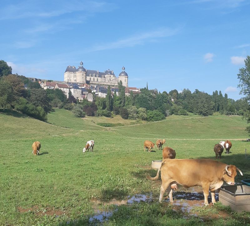 foto 8 Affitto tra privati Brive-la-Gaillarde gite Limosino (Limousin) Corrze Vista nelle vicinanze