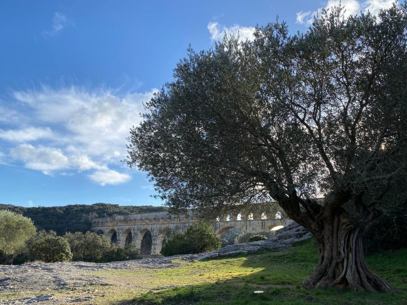 foto 15 Affitto tra privati Uzs villa Linguadoca-Rossiglione Gard