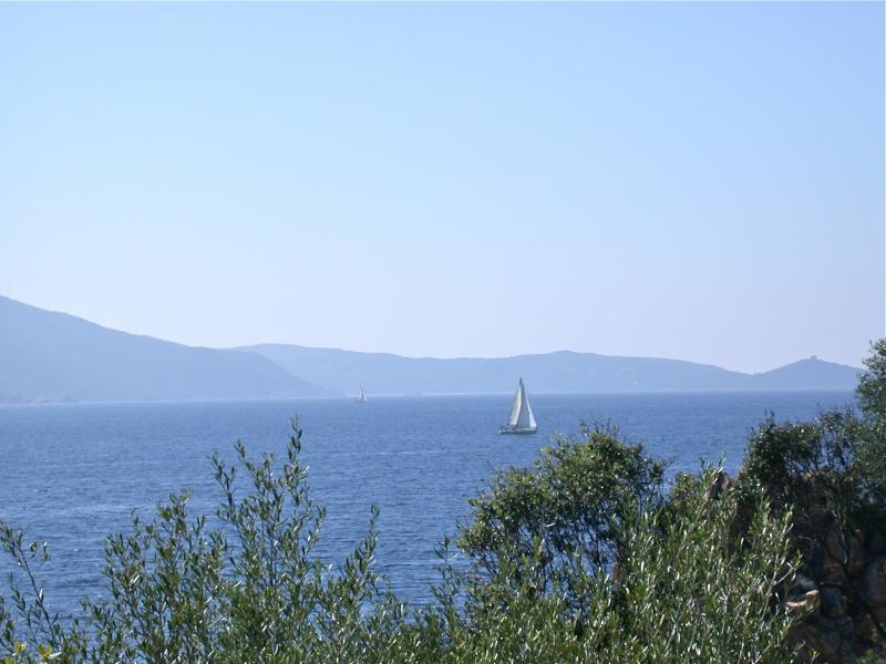 foto 13 Affitto tra privati Propriano villa Corsica Corsica del Sud Vista dal terrazzo