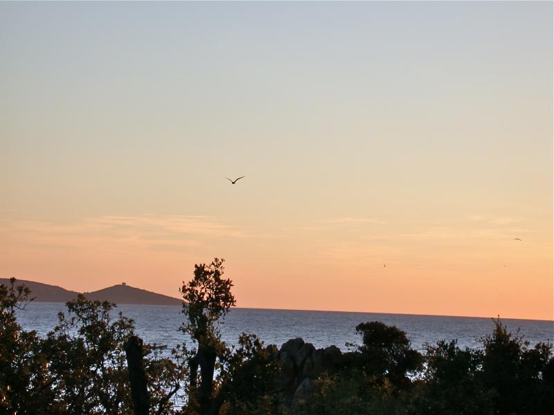 foto 14 Affitto tra privati Propriano villa Corsica Corsica del Sud Vista dalla casa vacanze