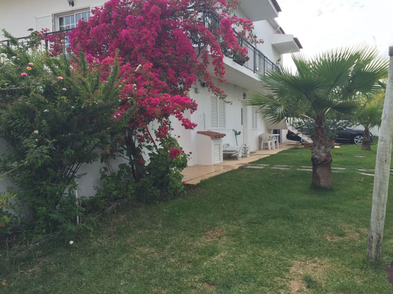foto 9 Affitto tra privati Almancil appartement Algarve  Giardino