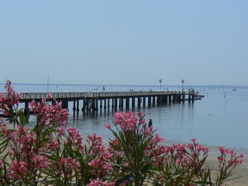 foto 18 Affitto tra privati Andernos les Bains gite Aquitania Gironda (Gironde) Altra vista