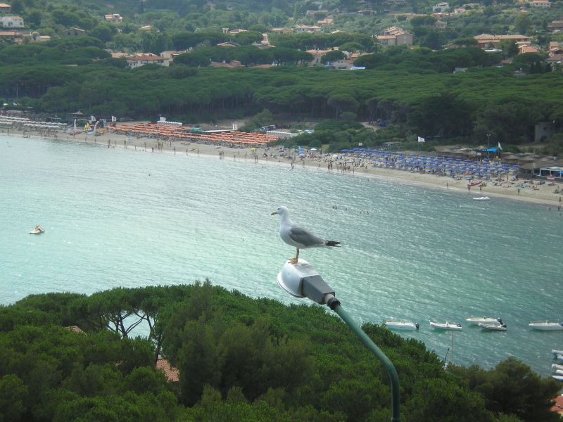 foto 1 Affitto tra privati Campo nell'Elba appartement Toscana Isola d'Elba Vista dal terrazzo