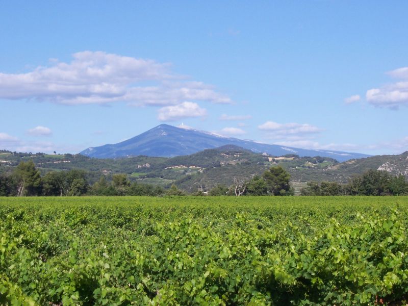 foto 4 Affitto tra privati Loriol-du-Comtat gite Provenza Alpi Costa Azzurra Valchiusa Altra vista