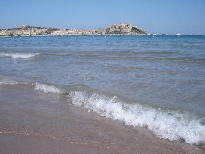 foto 5 Affitto tra privati Calvi studio Corsica Corsica settentrionale Spiaggia