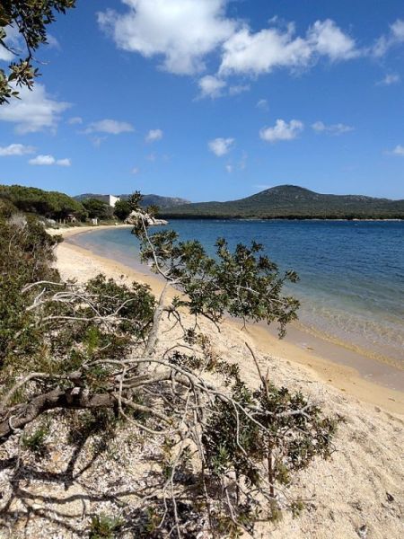 foto 18 Affitto tra privati Pianottoli maison Corsica Corsica del Sud Spiaggia