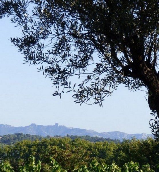 foto 5 Affitto tra privati Aix en Provence maison Provenza Alpi Costa Azzurra Bocche del rodano Vista dalla casa vacanze