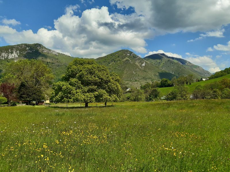 foto 14 Affitto tra privati Bagnres de Bigorre gite Midi Pirenei (Midi-Pyrnes) Alti pirenei (Hautes-Pyrnes)