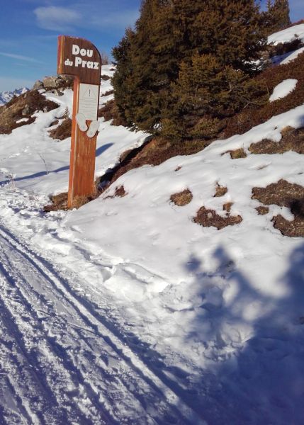 foto 21 Affitto tra privati La Plagne studio Rodano Alpi Savoia