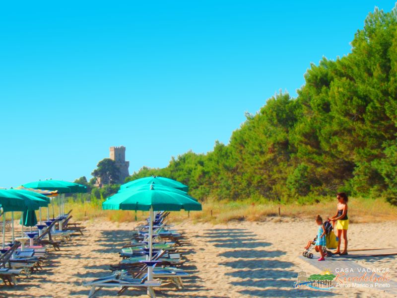 foto 7 Affitto tra privati Pineto appartement Abruzzo Teramo (provincia di) Spiaggia