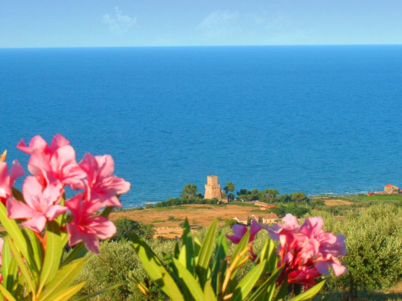 foto 19 Affitto tra privati Pineto appartement Abruzzo Teramo (provincia di) Vista nelle vicinanze