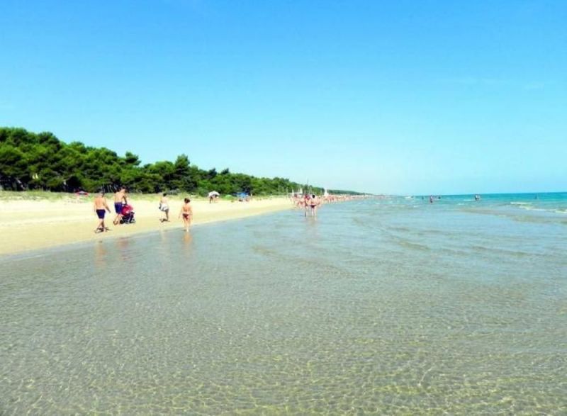 foto 8 Affitto tra privati Pineto appartement Abruzzo Teramo (provincia di) Spiaggia