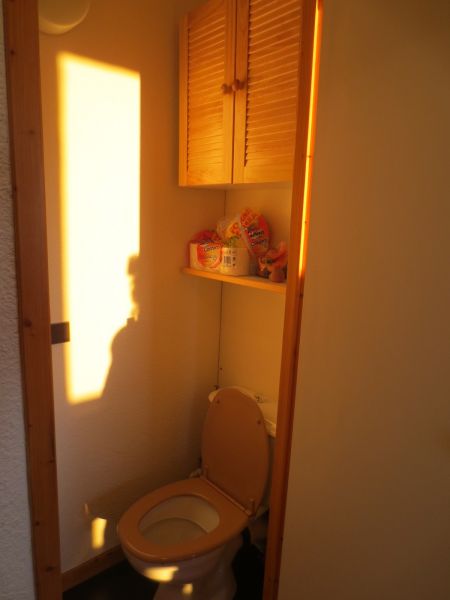 foto 24 Affitto tra privati La Plagne studio Rodano Alpi Savoia WC indipendente