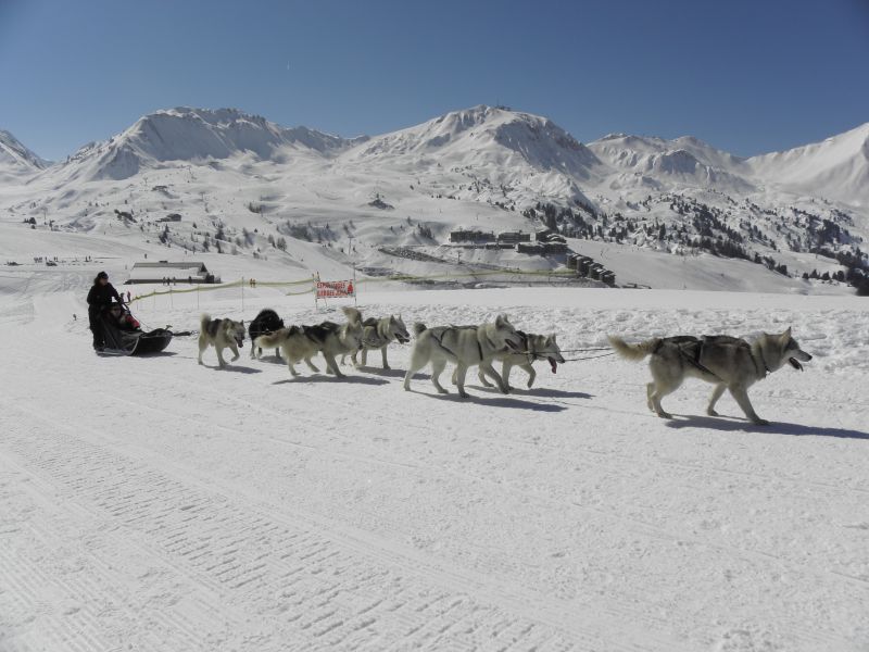 foto 24 Affitto tra privati La Plagne studio Rodano Alpi Savoia Vista nelle vicinanze