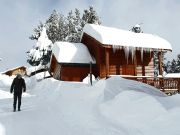 Affitto case montagna: chalet n. 106862