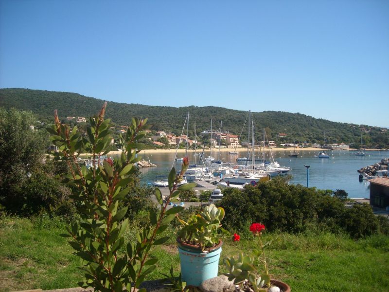 foto 2 Affitto tra privati Porto Pollo villa Corsica Corsica del Sud Vista dal terrazzo