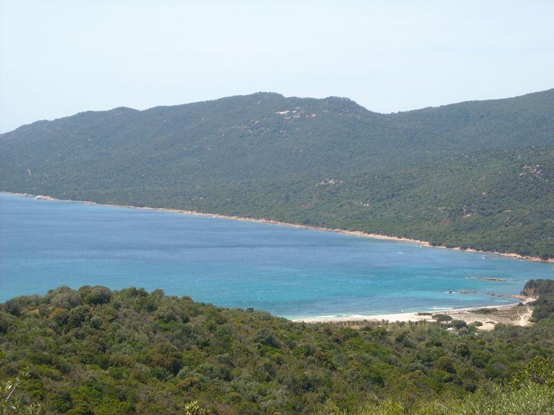 foto 22 Affitto tra privati Porto Pollo villa Corsica Corsica del Sud Spiaggia