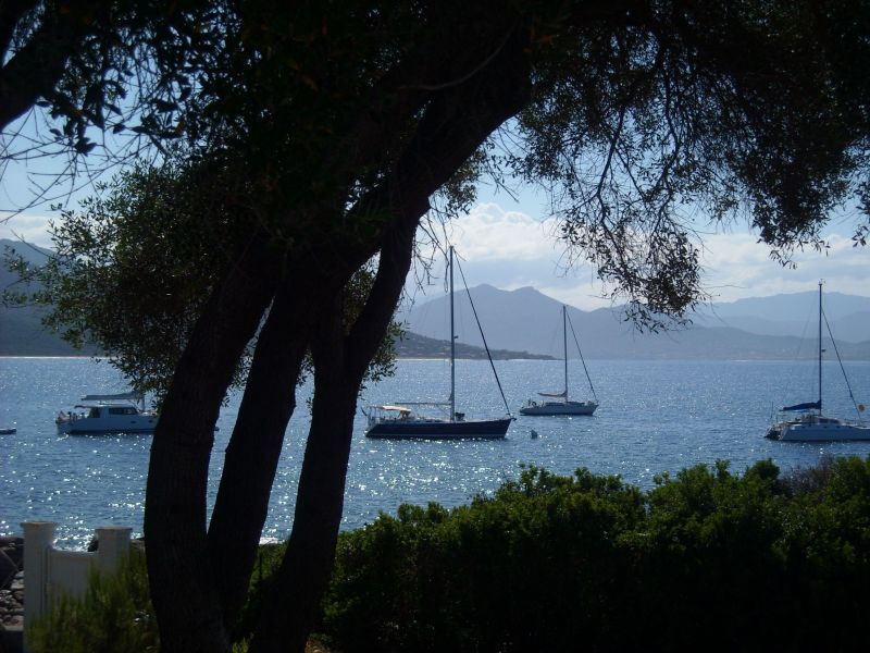 foto 0 Affitto tra privati Porto Pollo villa Corsica Corsica del Sud