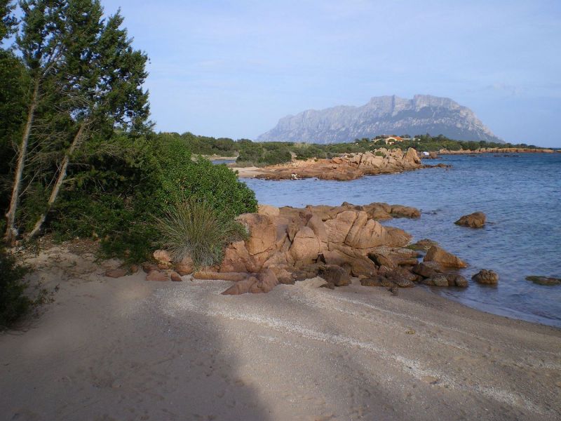 foto 17 Affitto tra privati Porto Istana appartement Sardegna Olbia Tempio (provincia di) Spiaggia