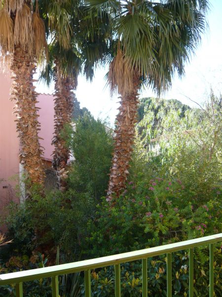 foto 4 Affitto tra privati Collioure appartement Linguadoca-Rossiglione Pirenei Orientali (Pyrnes-Orientales)