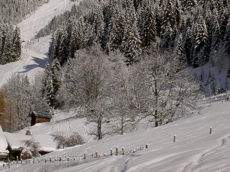 foto 2 Affitto tra privati Chtel chalet Rodano Alpi Alta Savoia Vista dalla casa vacanze