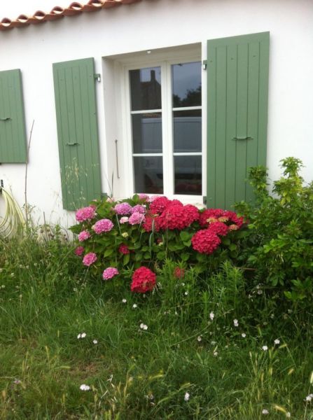 foto 1 Affitto tra privati Dolus d'Olron villa Poitou-Charentes Charente-Maritime Vista esterna della casa vacanze