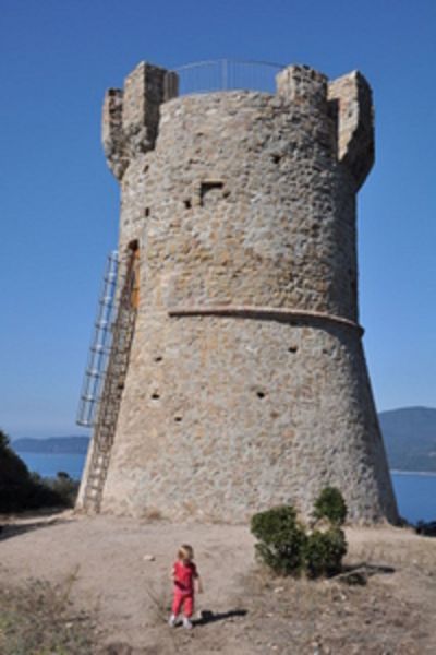 foto 9 Affitto tra privati Serra-di-Ferro appartement Corsica Corsica del Sud Altra vista