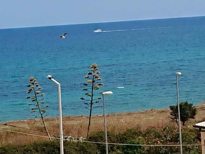 foto 5 Affitto tra privati Bruzzano Zeffirio appartement Calabria Reggio Calabria (provincia di) Vista dalla casa vacanze