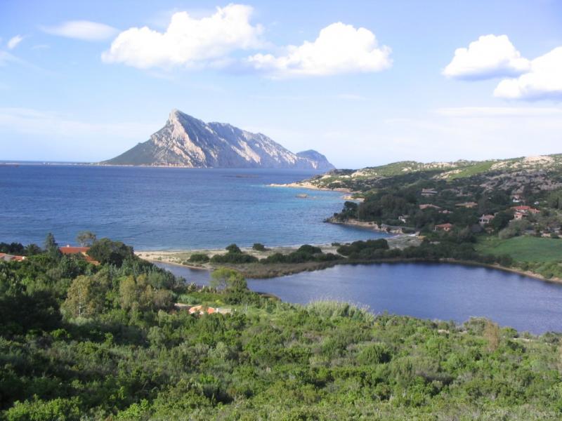 foto 6 Affitto tra privati San Teodoro appartement Sardegna Olbia Tempio (provincia di) Vista nelle vicinanze