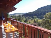 Affitto case vacanza Francia per 11 persone: chalet n. 77741