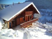 Affitto case vacanza La Bresse Hohneck: chalet n. 77741