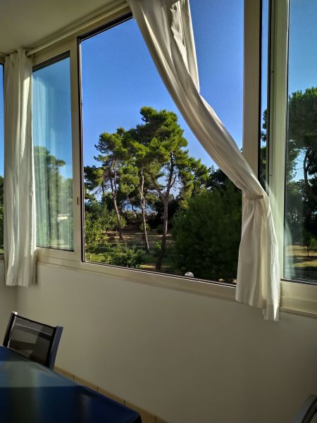 foto 7 Affitto tra privati Pescara appartement Abruzzo Pescara (provincia di) Veranda