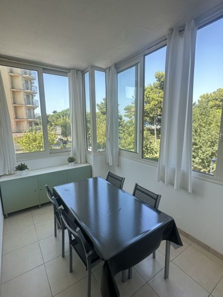 foto 6 Affitto tra privati Pescara appartement Abruzzo Pescara (provincia di) Veranda